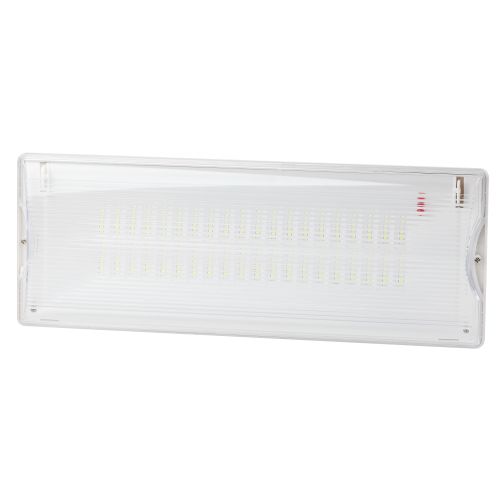 Светильник светодиодный DPA-301-0-65 40LED 3ч IP65 аварийный непостоянный Эра Б0044405 (1 шт.)